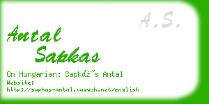 antal sapkas business card